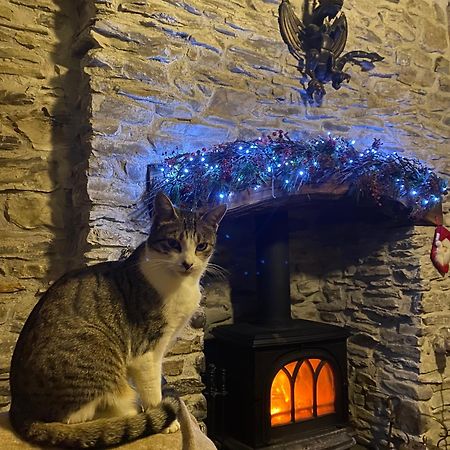 Five Saints Farmhouse B&B Pumpsaint Εξωτερικό φωτογραφία