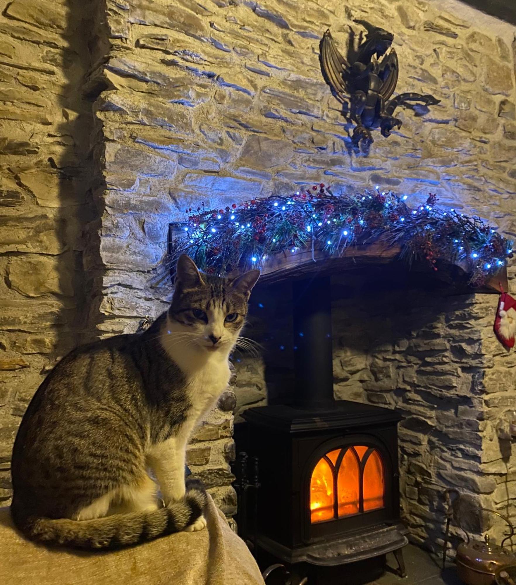 Five Saints Farmhouse B&B Pumpsaint Εξωτερικό φωτογραφία