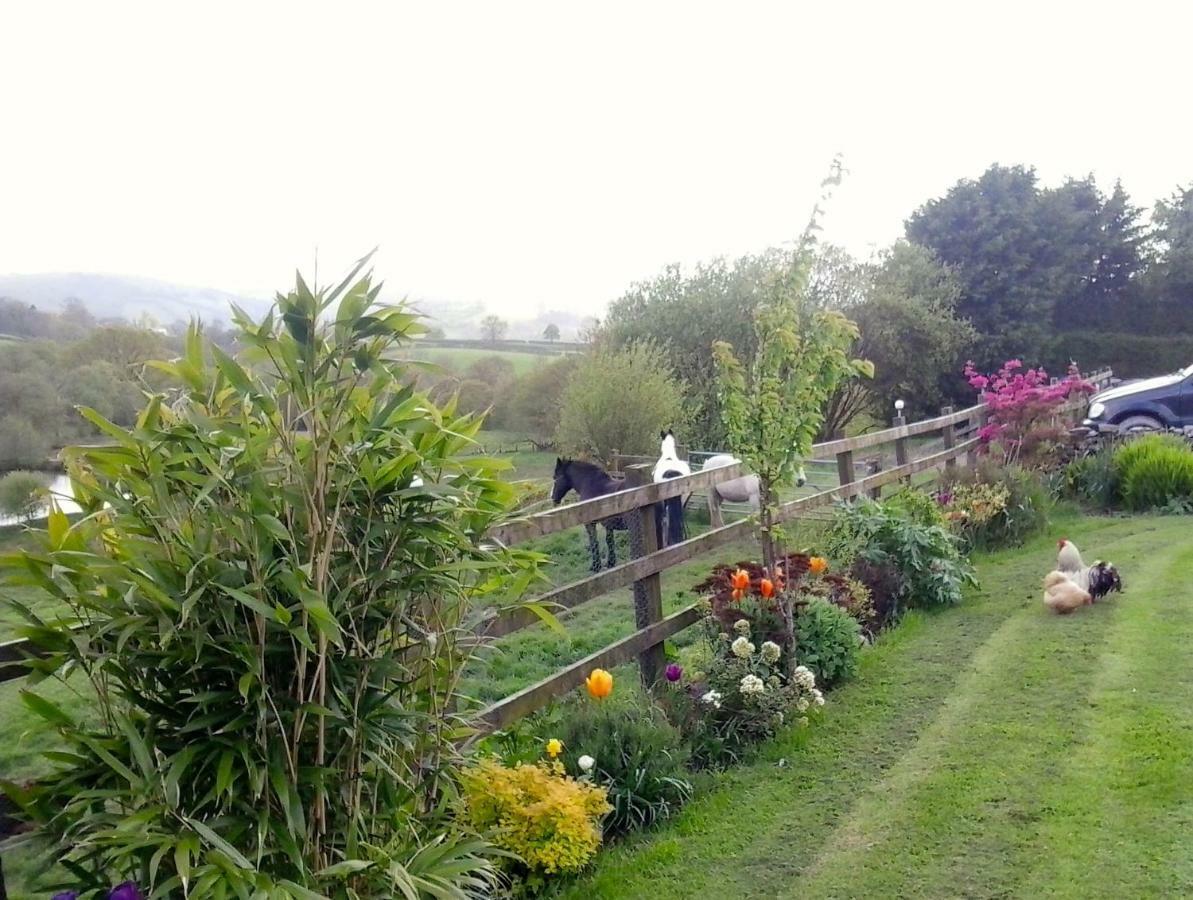 Five Saints Farmhouse B&B Pumpsaint Εξωτερικό φωτογραφία