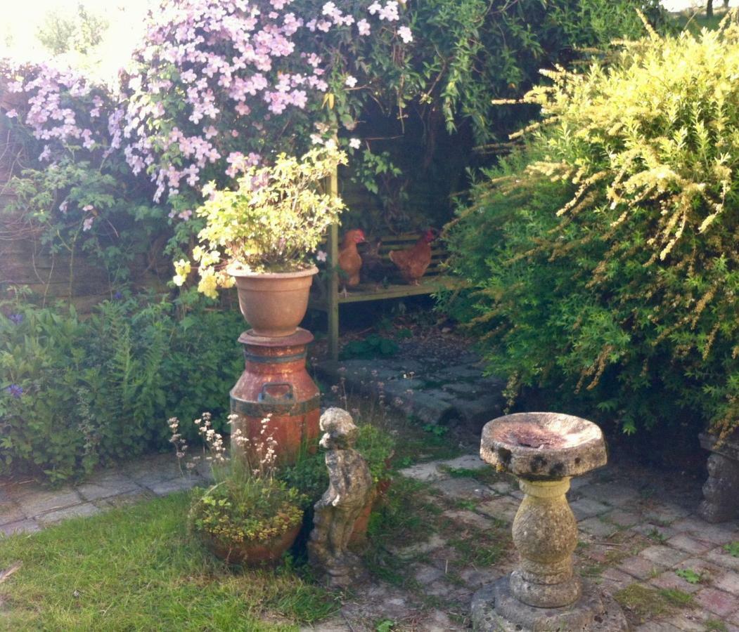 Five Saints Farmhouse B&B Pumpsaint Εξωτερικό φωτογραφία